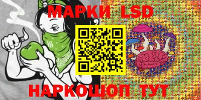 гашик Будённовск