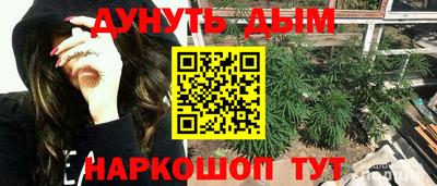 гашик Будённовск