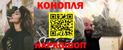 гашик Будённовск